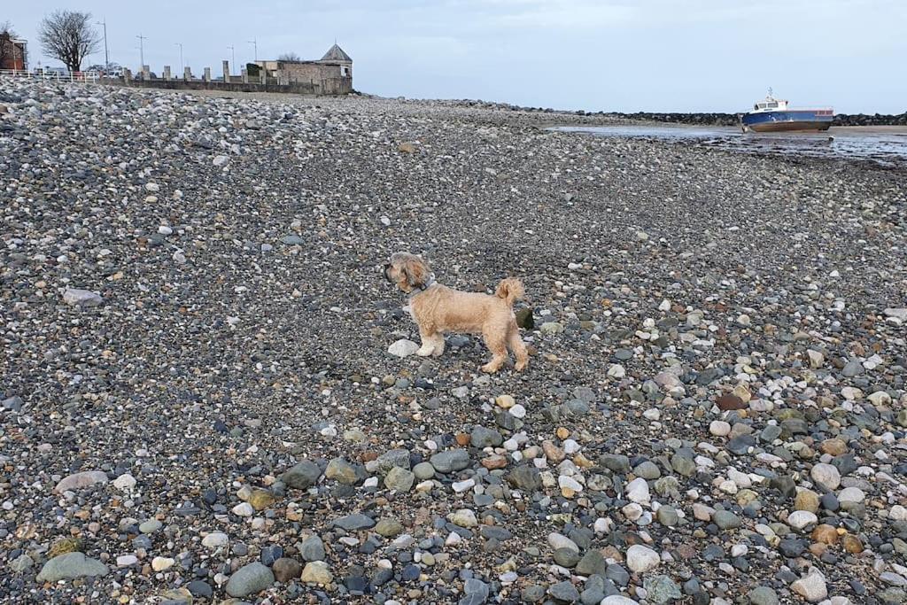 Welcome To The Beach House! Rhôs-on-Sea Eksteriør bilde